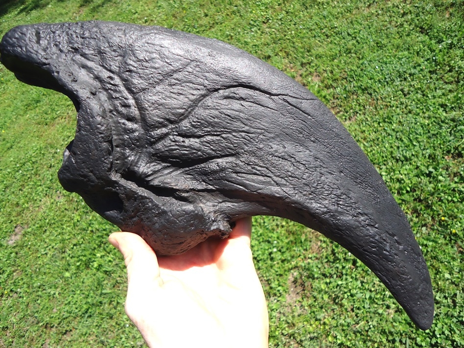 Large image 3 Massive 17' Giant Ground Sloth Claw Core *SOLD OUT*