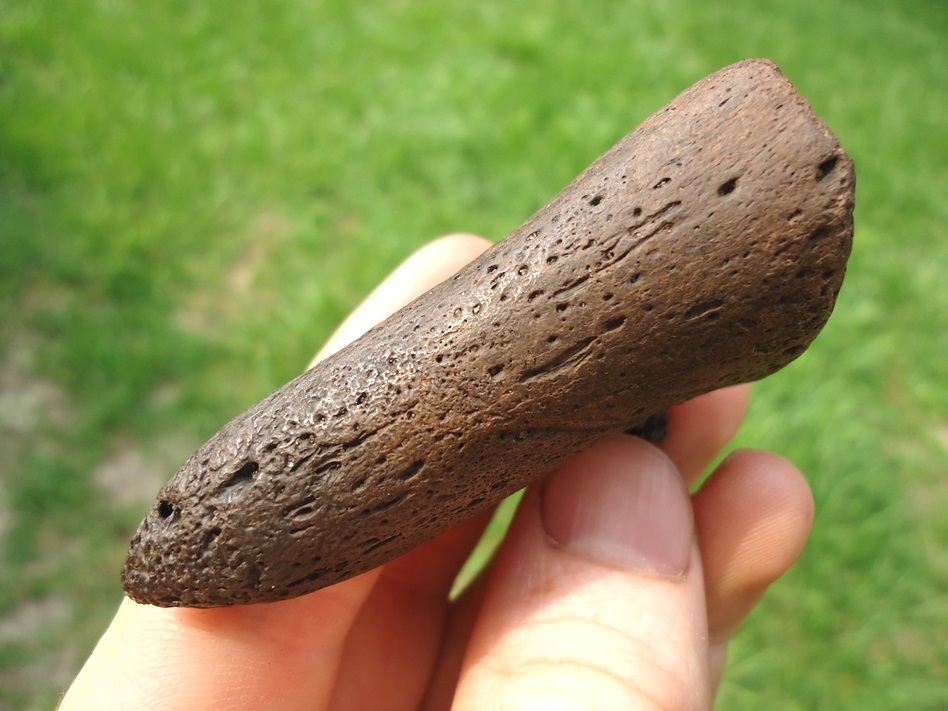 Large image 2 Nice Paramylodon Sloth Claw Core