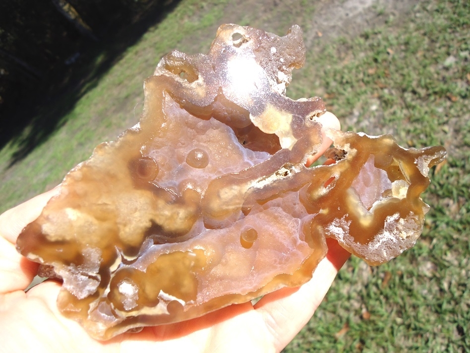 Large image 3 Gorgeous Translucent Agatized Coral Geode