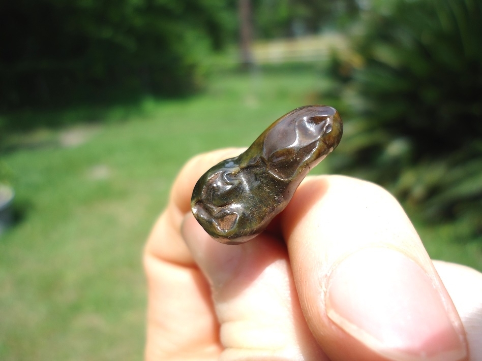 Large image 3 World Class Black Bear Molar with Camo and Yellow Enamel