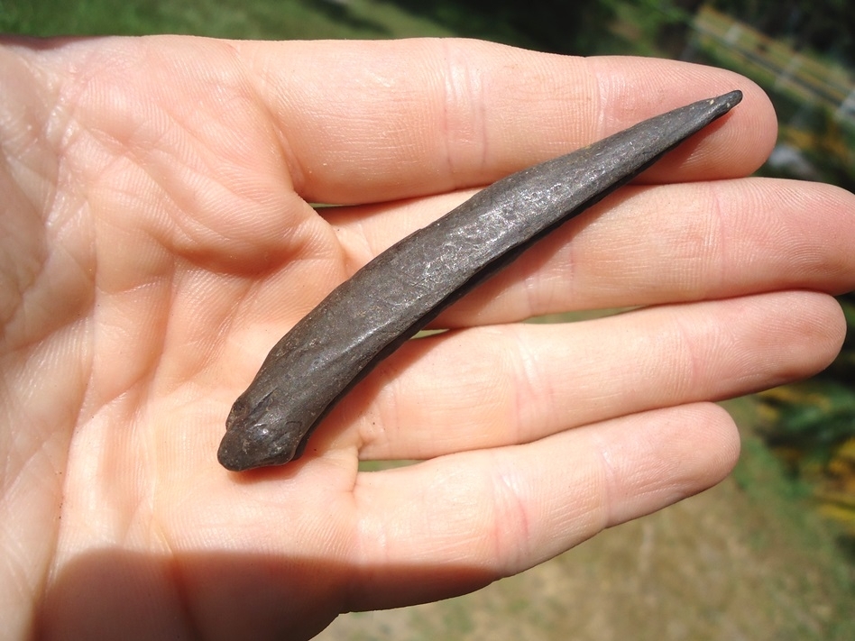 Large image 2 Excellent Fossil Catfish Spine