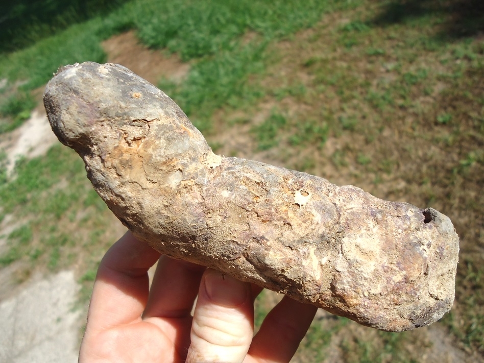 Large image 1 Massive Coprolite