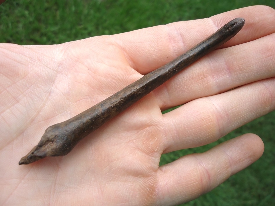 Large image 2 Exceptional River Otter Baculum (Penis Bone)