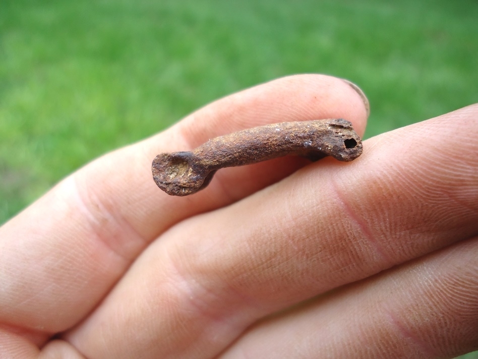 Large image 1 Rare Hawk or Owl Toe Bone