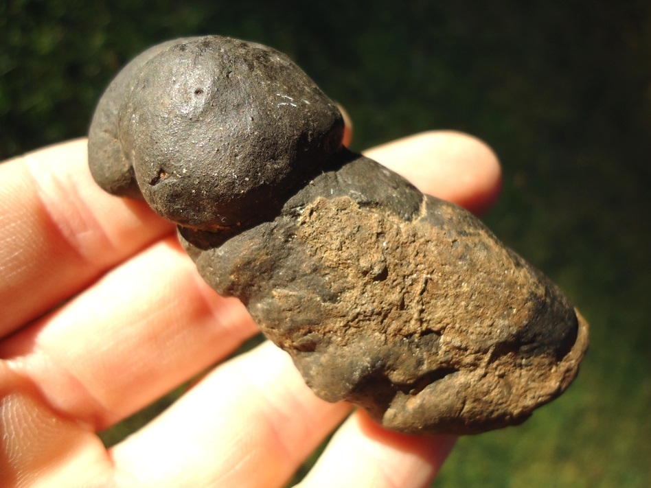 Large image 2 Super Detailed Coprolite (Fossil Poop)