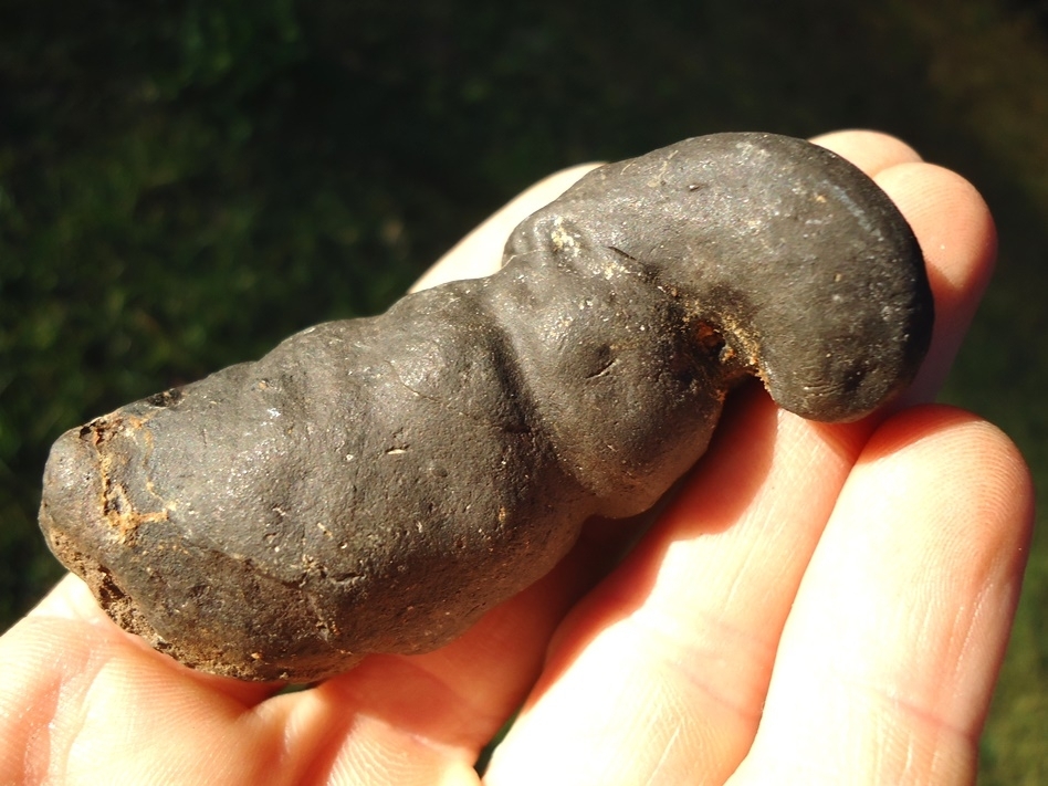 Large image 4 Super Detailed Coprolite (Fossil Poop)