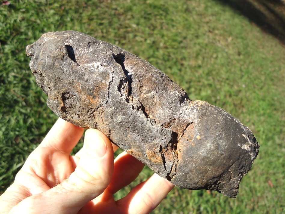 Large image 1 Absolutely Massive Coprolite