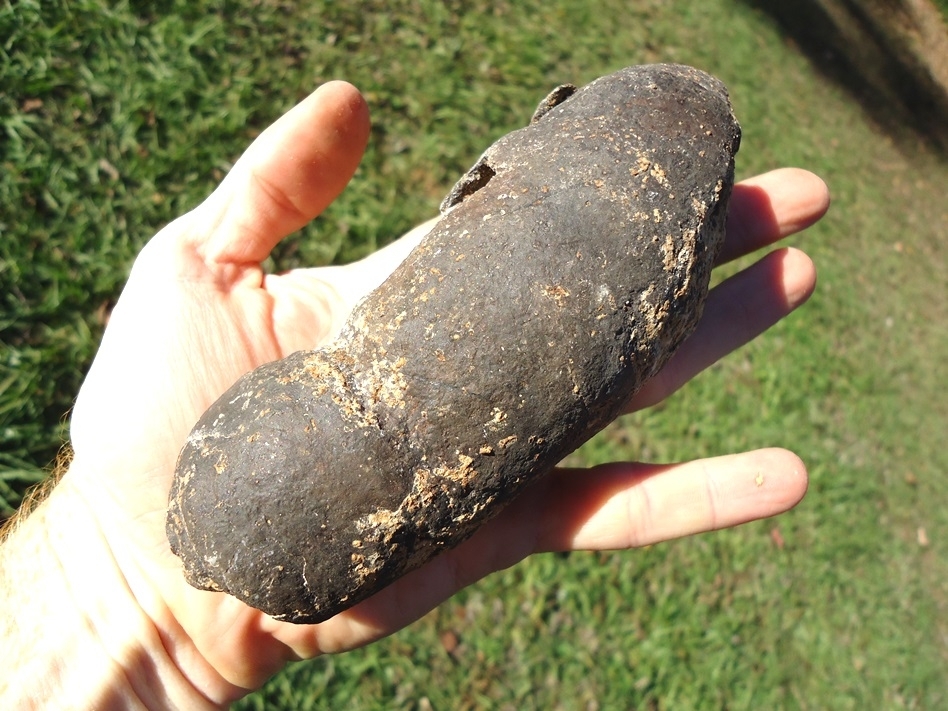 Large image 3 Absolutely Massive Coprolite