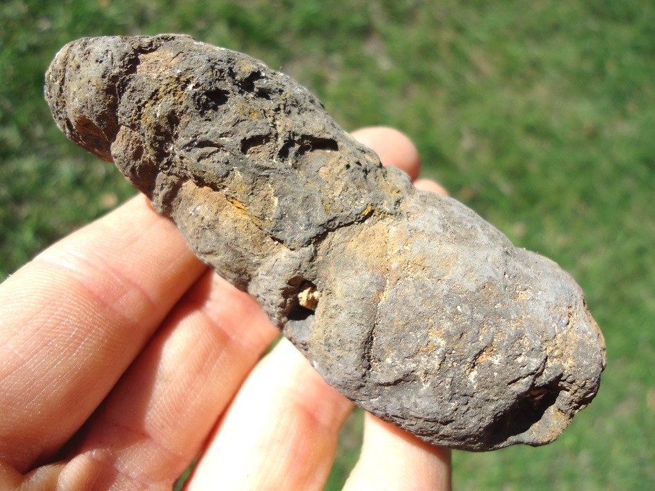 Large image 1 Excellent Coprolite