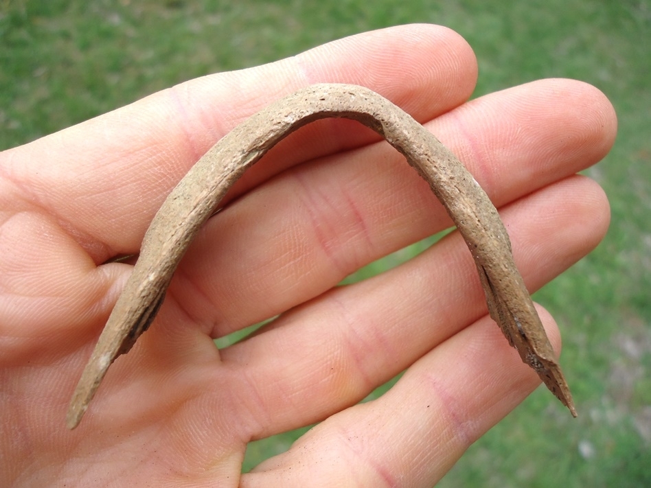 Large image 1 Very Rare Common Snapping Turtle Mandible