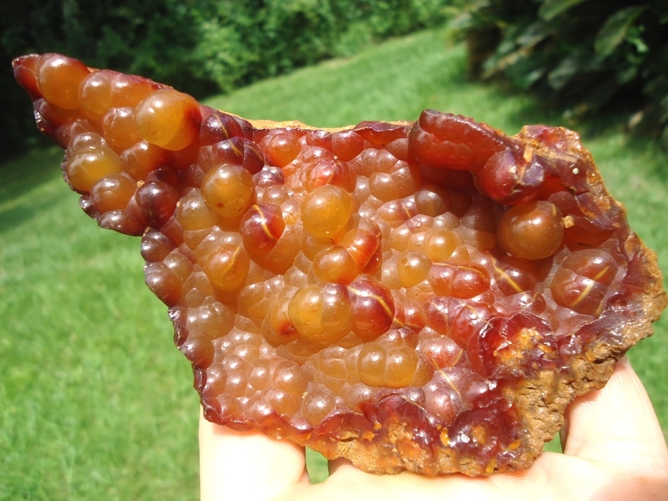 Large image 1 Stunning Botryoidal Agatized Coral Geode