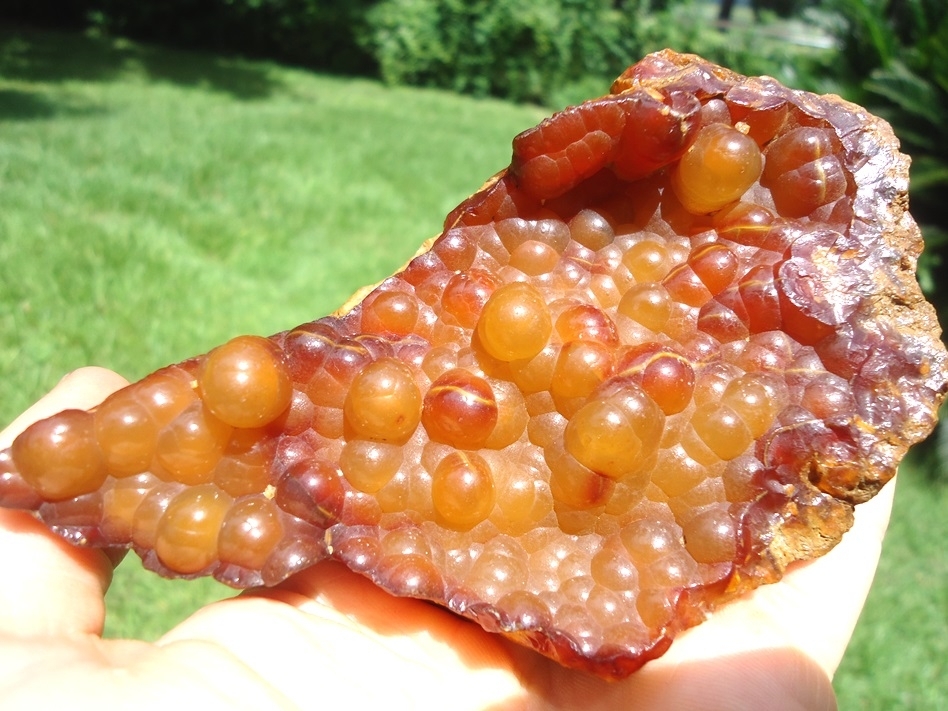 Large image 2 Stunning Botryoidal Agatized Coral Geode