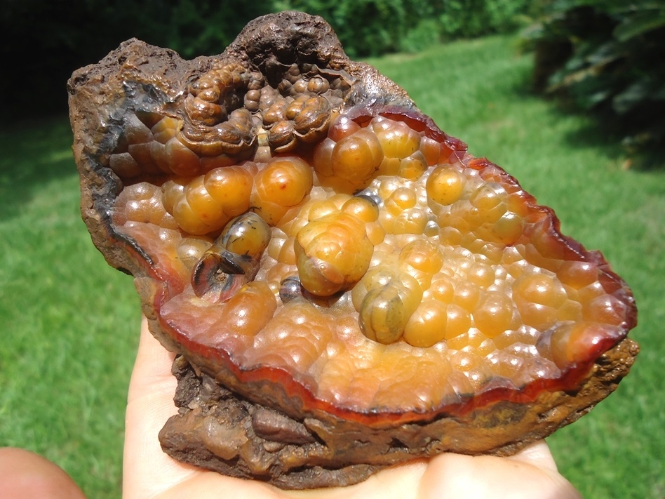 Large image 1 Gorgeous Agatized Coral Geode