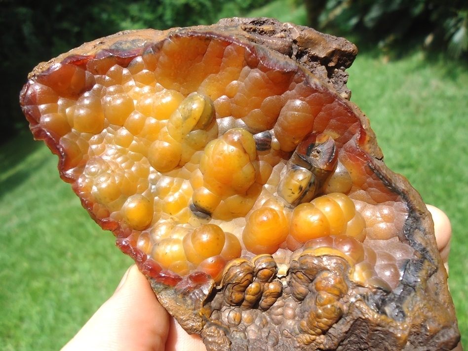 Large image 2 Gorgeous Agatized Coral Geode