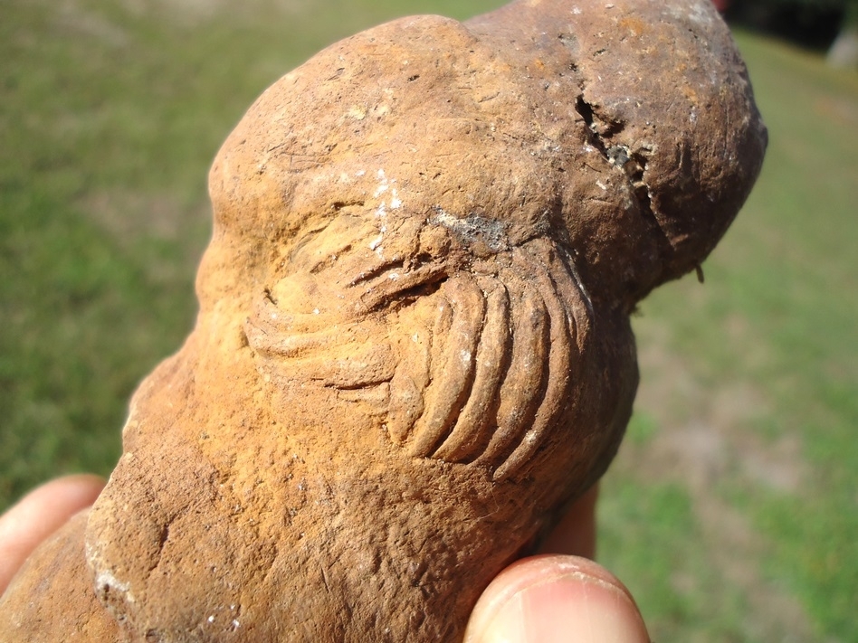 Large image 3 Incredible Coprolite with Sphincter Marks