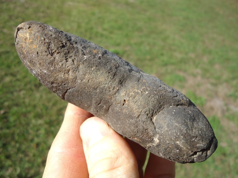 Large image 2 Large Detailed Coprolite