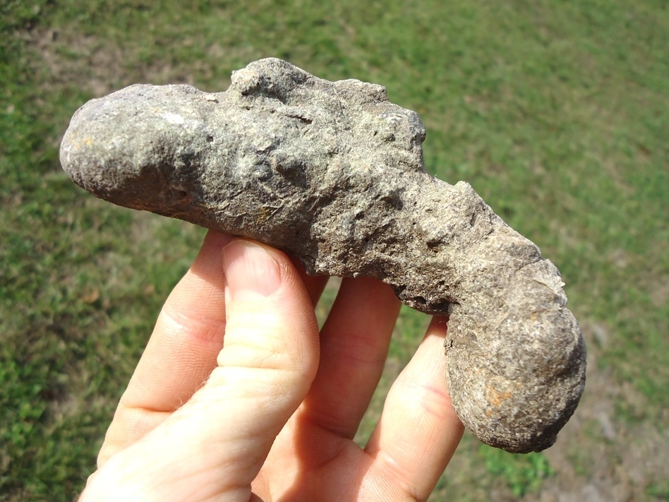 Large image 1 Large and Impressive Coprolite