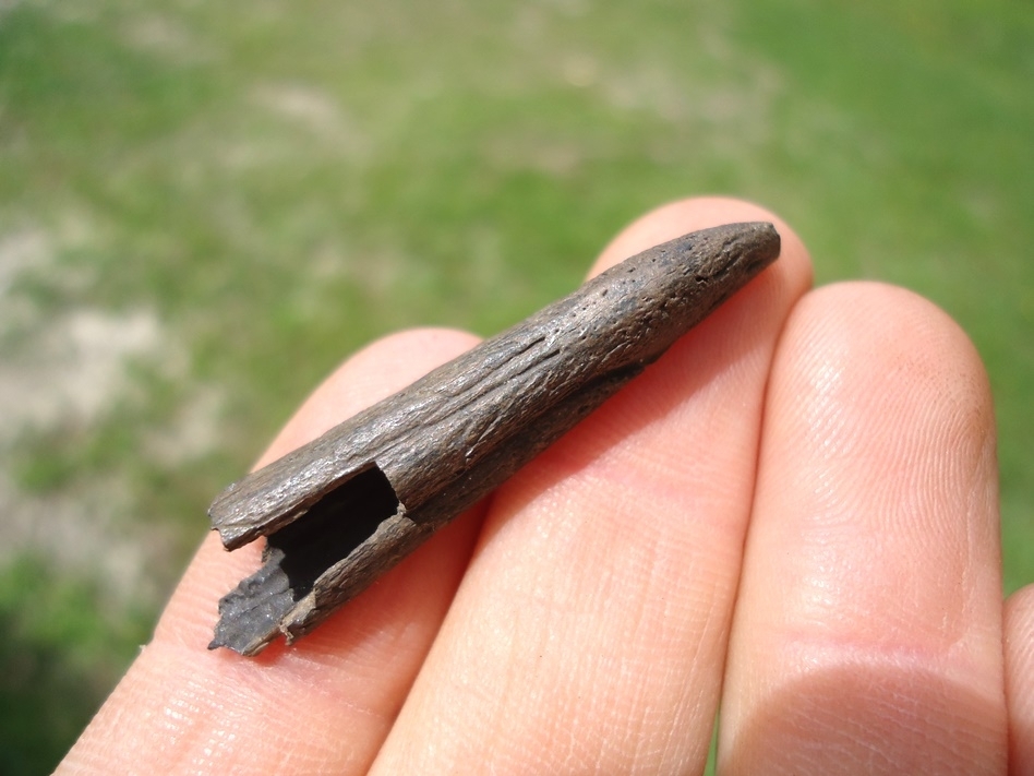 Large image 2 Very Rare Cormorant Beak