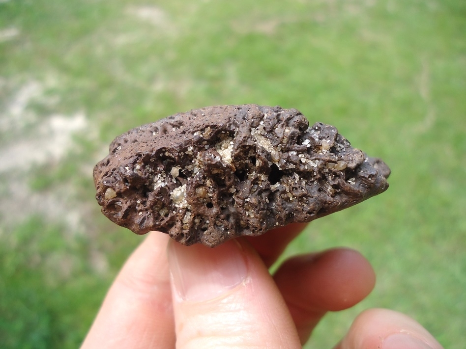 Large image 3 Highly Detailed Glyptodon Scute