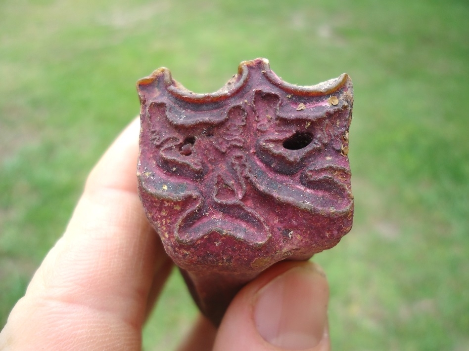 Large image 4 Gorgeous Pink Algae Stained Horse Tooth