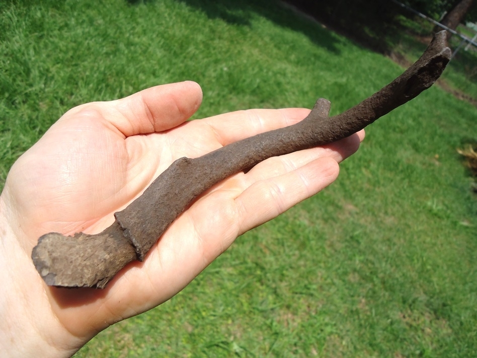 Large image 2 Awesome Fossil Deer Antler