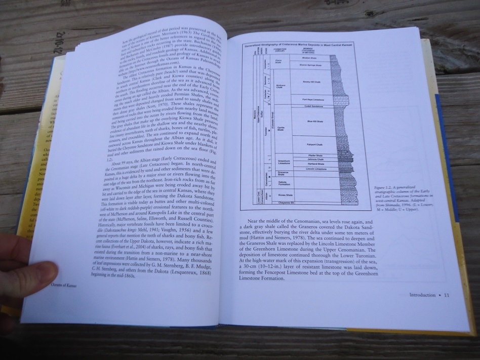 Large image 2 Oceans of Kansas - A Natural History of the Western Interior Sea by Michael J. Everhart