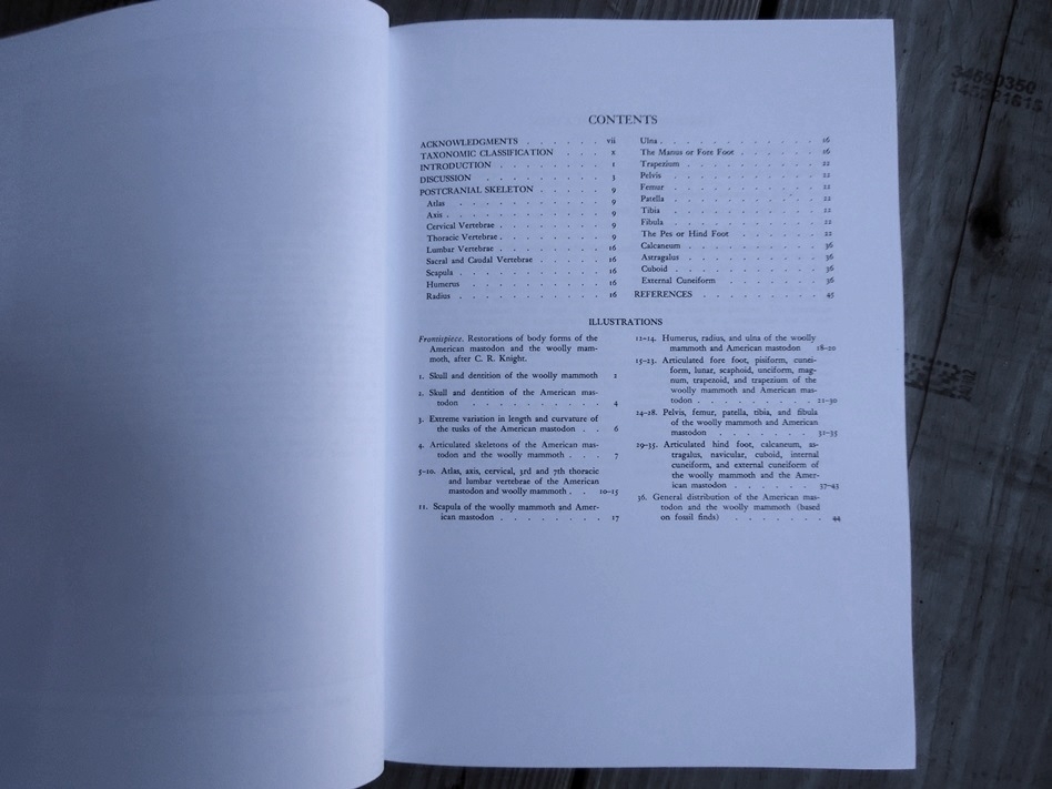 Large image 1 Osteology for the Archaeologist - Stanley J. Olsen