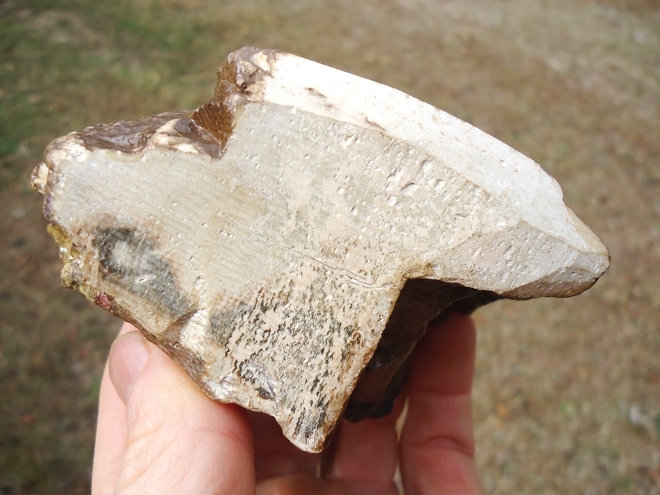 Large image 2 Unique Mammoth Ivory Chunk with Mammoth Carving