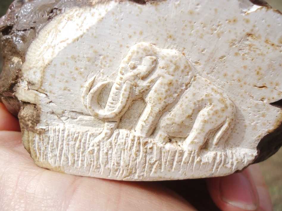Large image 4 Unique Mammoth Ivory Chunk with Mammoth Carving