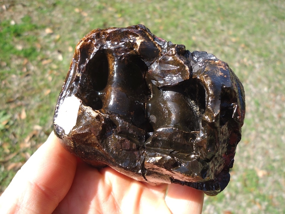 Large image 5 Unique Pink Algae Stained Mastodon Tooth