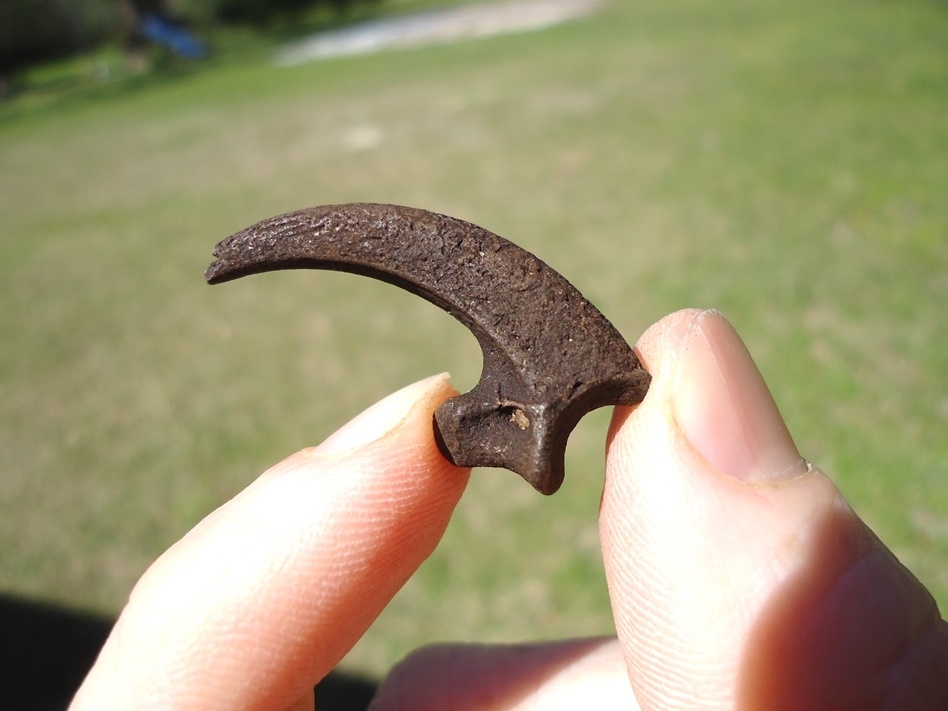 Large image 1 Exceptional Bald Eagle Claw Core