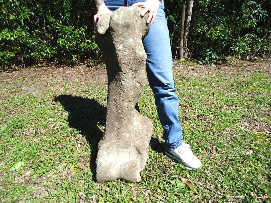 Large image 1 One-Of-A-Kind Complete Mastodon Humerus