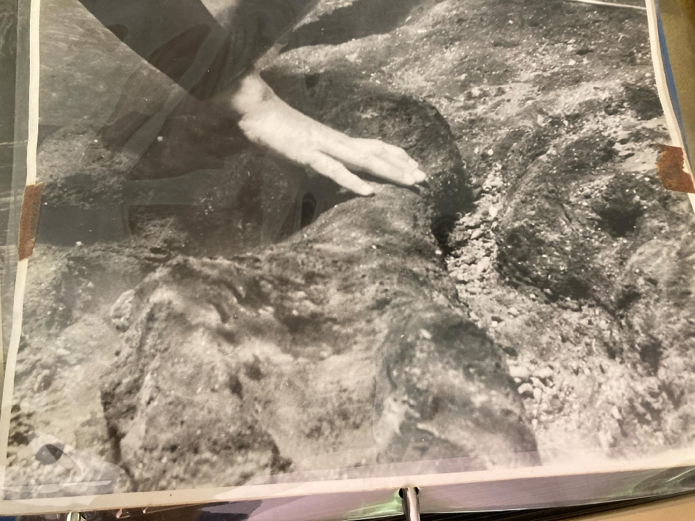 Large image 12 One-Of-A-Kind Complete Mastodon Humerus