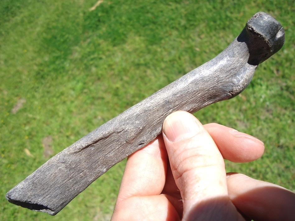 Large image 2 Very Rare Jaguar Radius