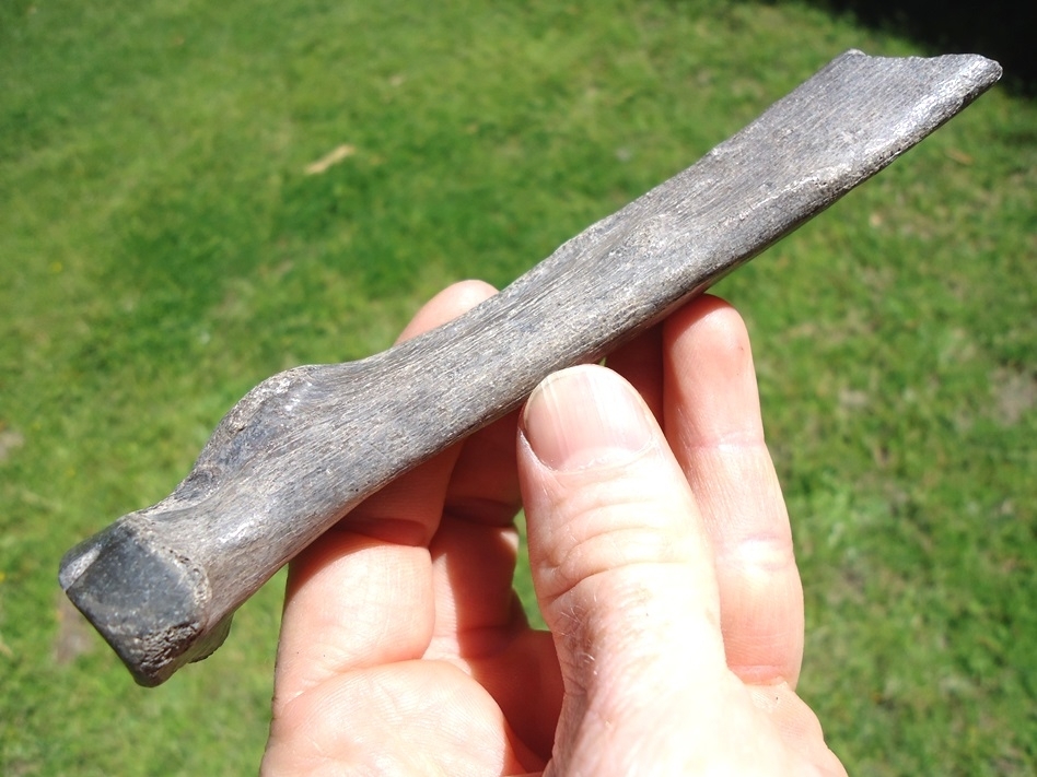 Large image 4 Very Rare Jaguar Radius