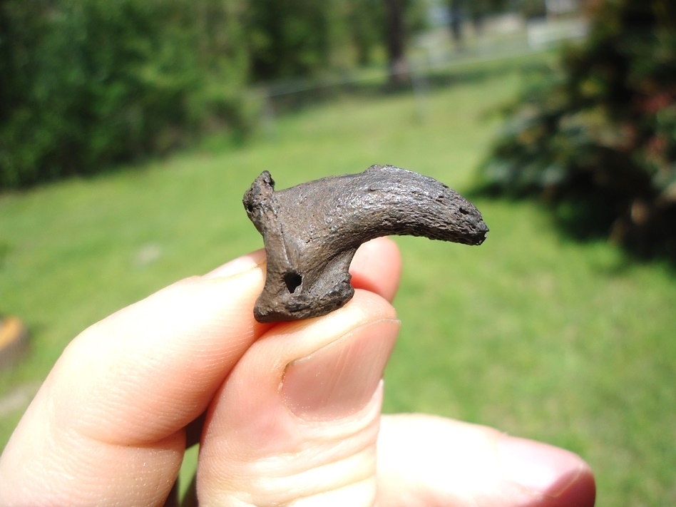 Large image 7 Museum Quality Dire Wolf Digit with Claw Core