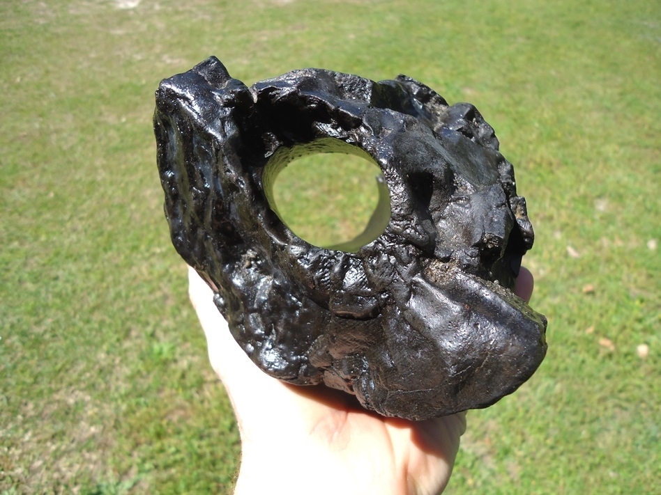 Large image 2 4.5lb Section of Mastodon Tusk