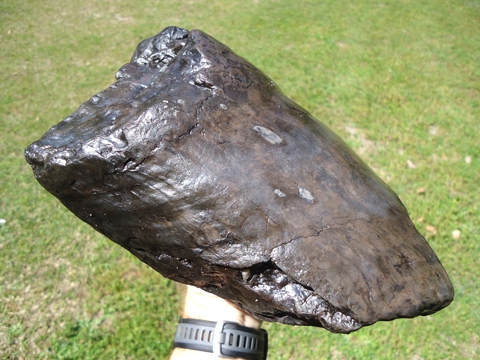 Large image 7 4.5lb Section of Mastodon Tusk