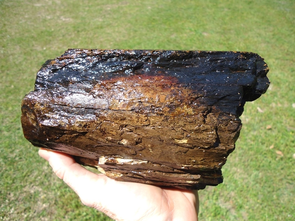 Large image 2 Large 4lb 6oz Section of Mastodon Tusk