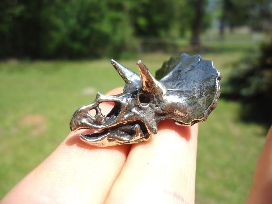 Large image 1 Triceratops Skull Pendant