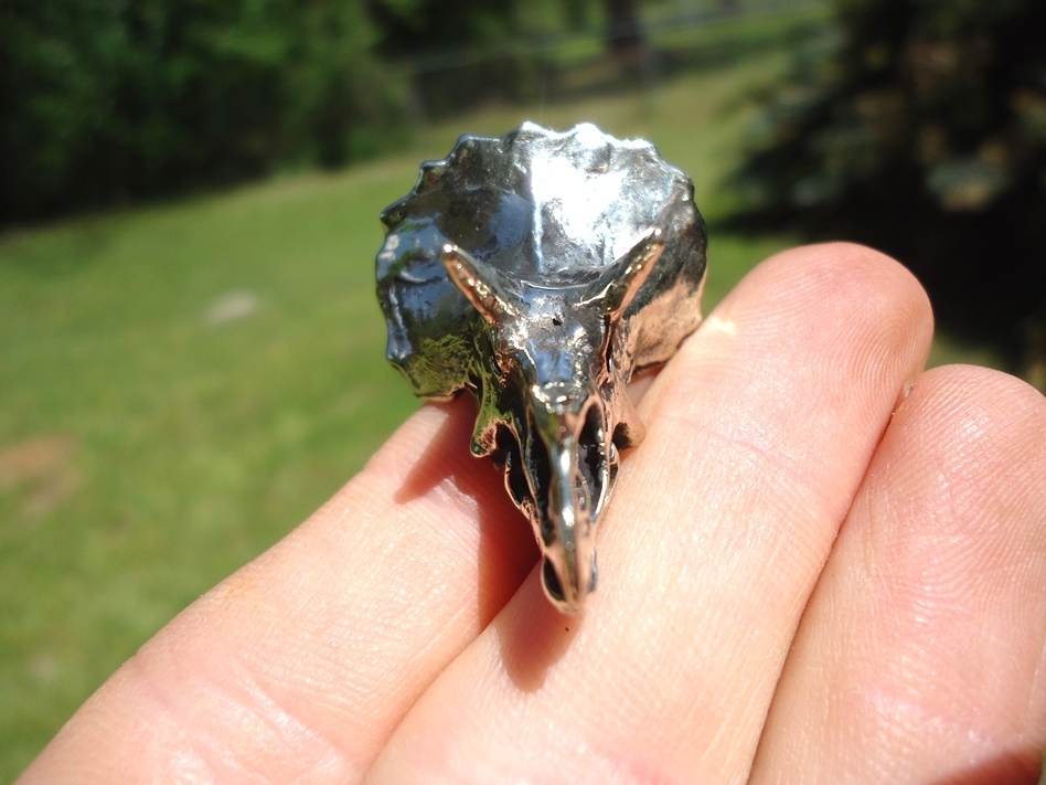 Large image 2 Triceratops Skull Pendant