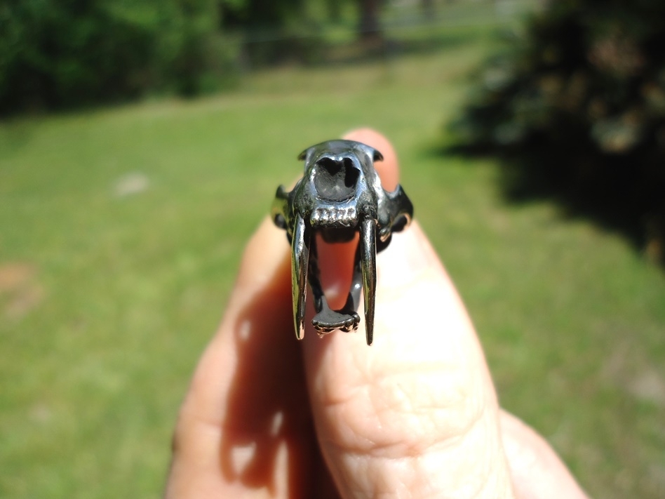 Large image 2 Saber Cat Skull Pendant