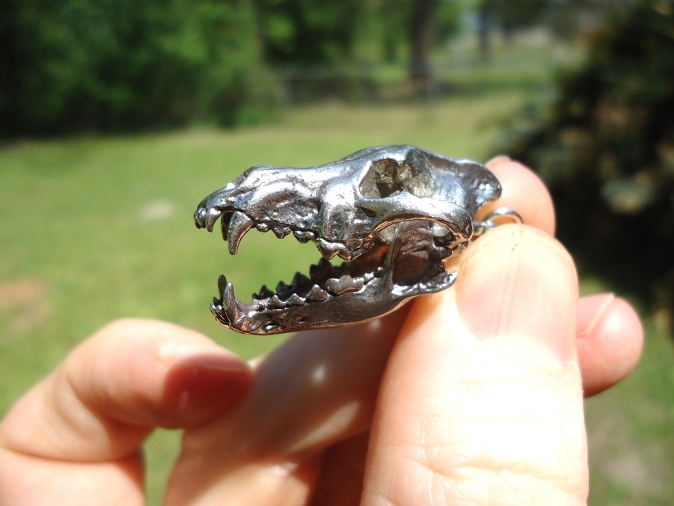 Large image 1 Dire Wolf Skull Pendant