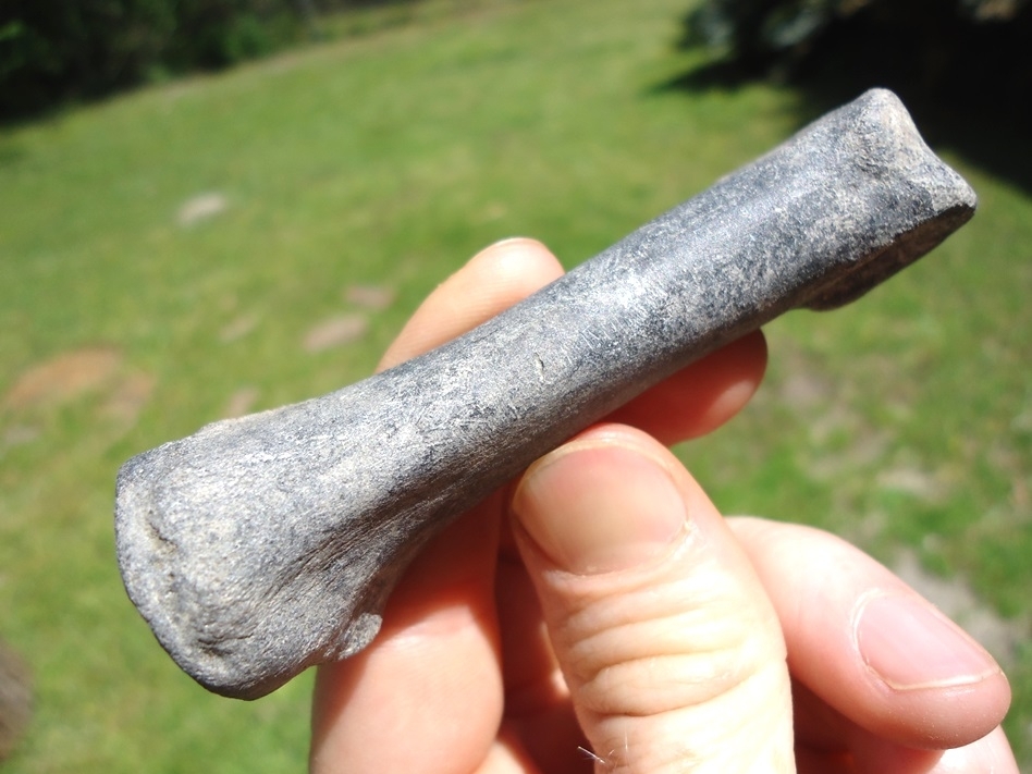 Large image 3 Rare Leisey Shell Pit Llama Phalanx