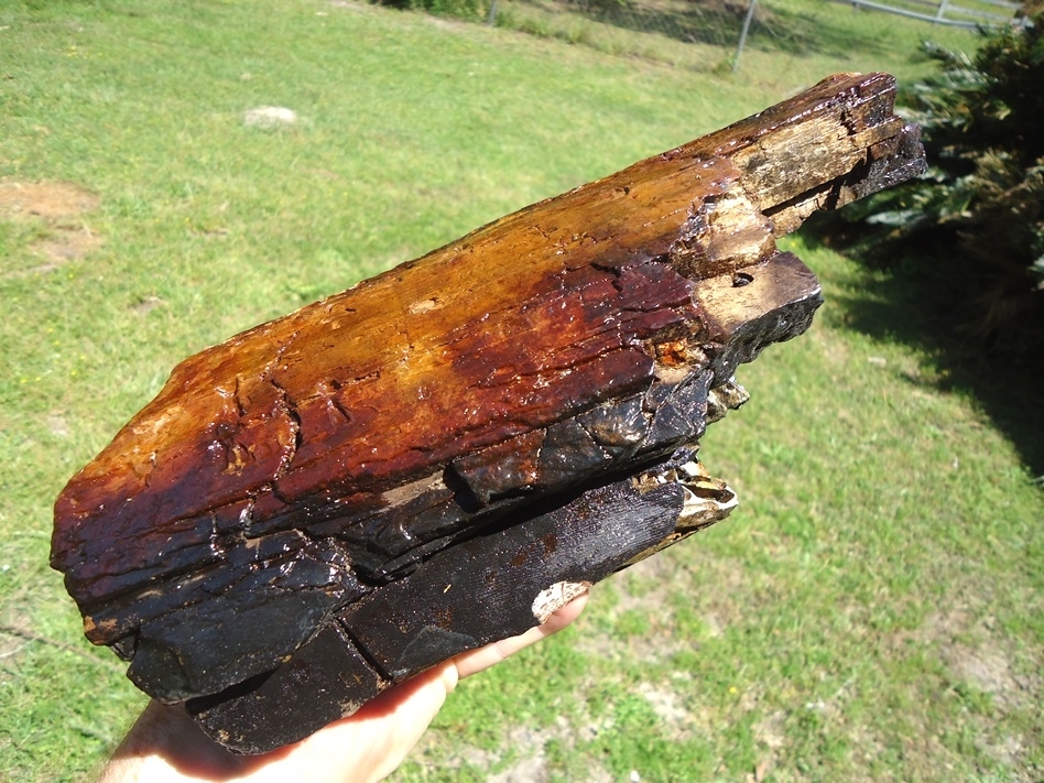 Large image 6 Huge 5lb  Section of Mammoth Tusk