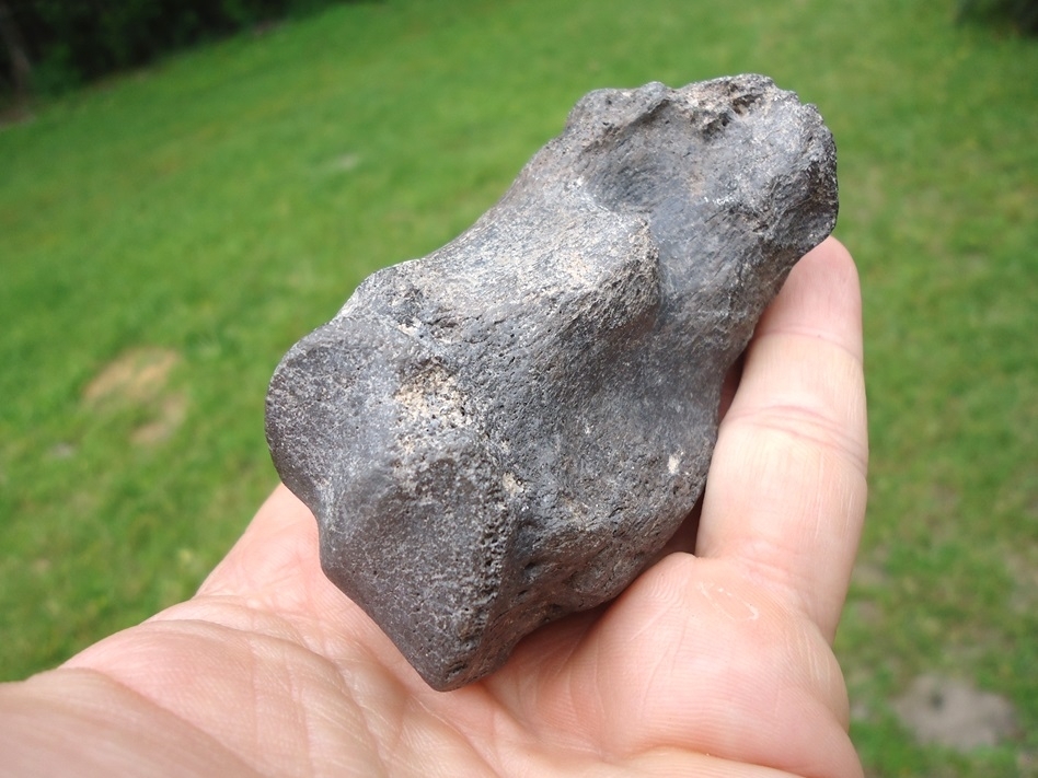 Large image 4 Choice Quality Rhinoceros Metapodial