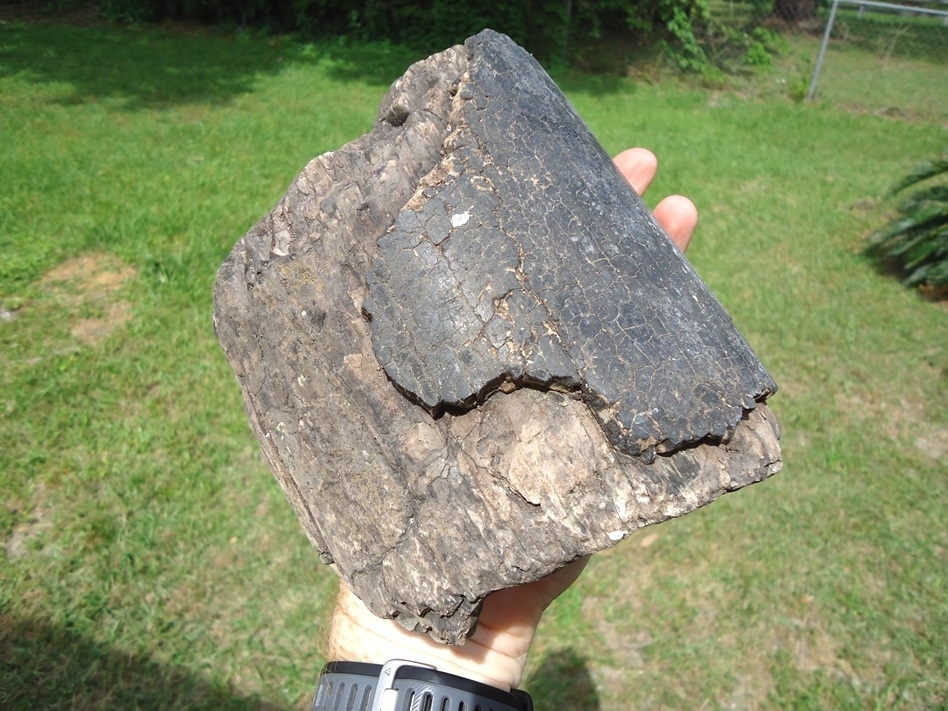 Large image 5 Huge 2lb 13.1oz Chunk of Mammoth Tusk