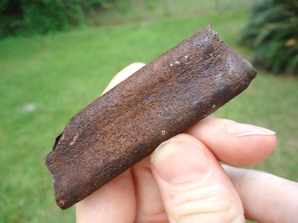 Large image 1 Excellent Megalonyx Sloth Tooth