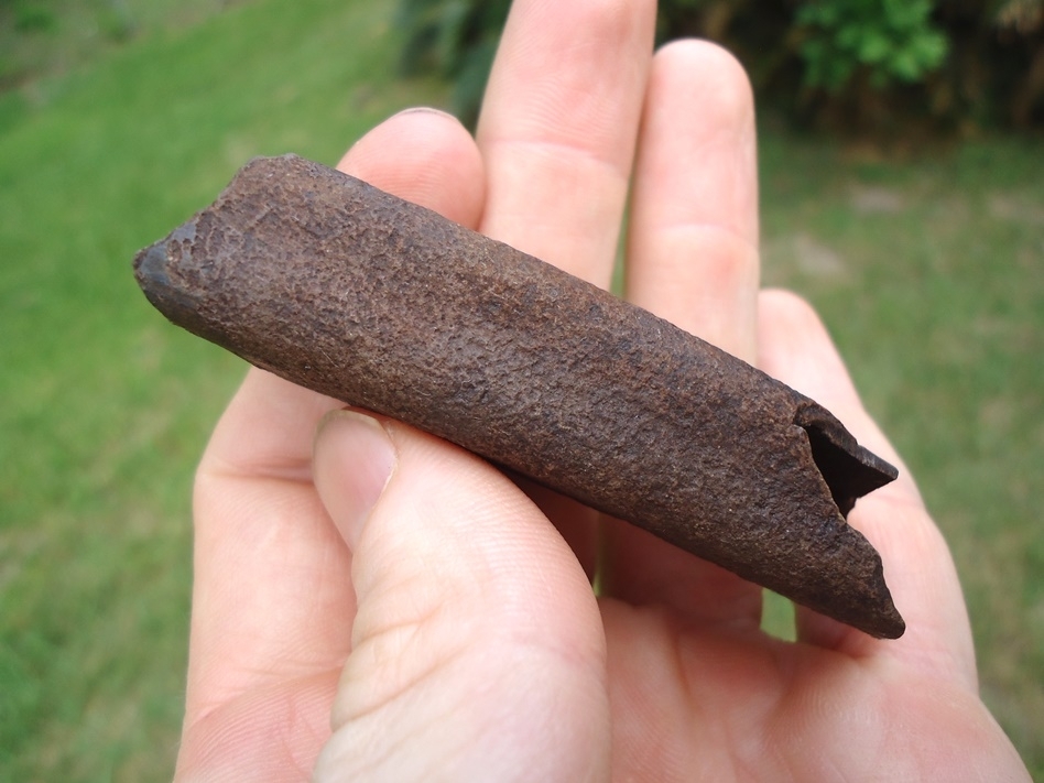 Large image 3 Excellent Megalonyx Sloth Tooth