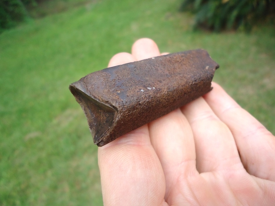 Large image 4 Excellent Megalonyx Sloth Tooth